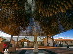 See Tree of Knowledge, Barcaldine Region, Queensland