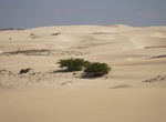 Explore Deserto de Viana, Boa Vista, Cape Verde
