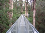 Hike Tree Tops in the Valley of the Giants, Walpole-Nornalup National Park, Western Australia 