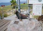 See Sammy The Sea Lion & Tanker Jetty Ruins, Esperance, Western Australia