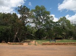 Explore Forty Mile Scrub National Park, Queensland
