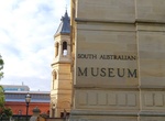 Visit South Australian Museum, Adelaide, South Australia