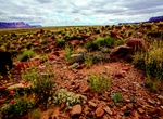 Visit West Bench Pueblo, Marble Canyon, Arizona