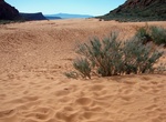 Explore Snow Canyon Sand Dunes, Snow Canyon State Park, Utah