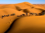 Explore Erg Chebbi Dunes, Morocco