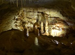 Tour Victoria Fossil Cave, Naracoorte Caves National Park, South Australia