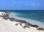 Visit Tern Island, French Frigate Shoals, Northwestern Hawaiian Islands