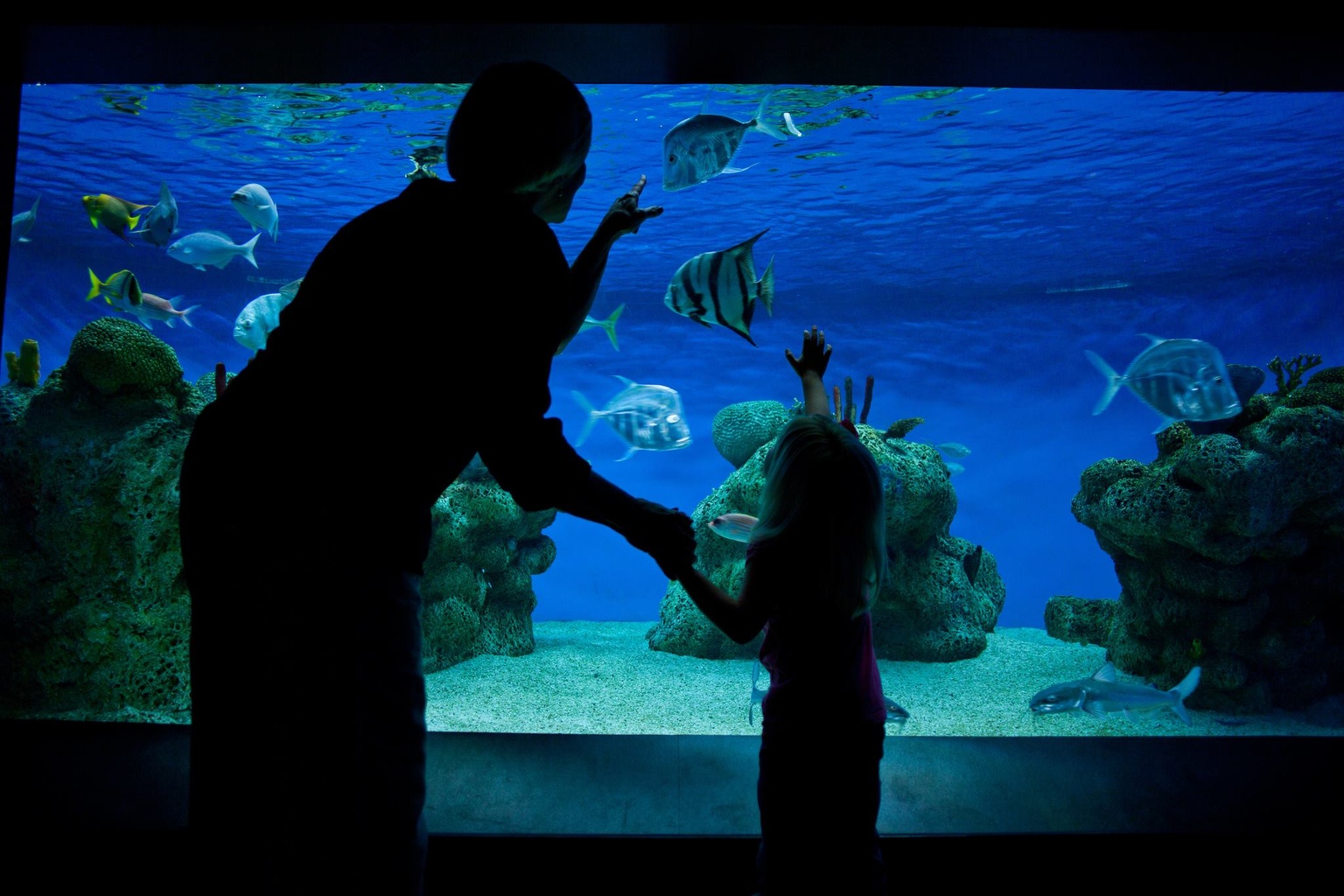 McWane Science Center