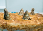 Try Stargazy Pie