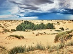 Explore Oleshky Sands National Park, Ukraine