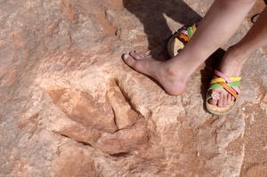 Moenaves Hidden History Stunning Navajo Dinosaur Tracks - ekc601e