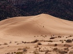 Explore Coral Pink Sand Dunes State Park, Utah
