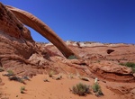 See Cobra Arch, Paria Canyon, Utah