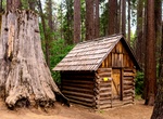 Explore Nelder Grove, Sierra National Forest, California