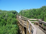 Visit Turtle Mound, Canaveral National Seashore, Florida