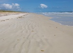 Visit Apollo Beach, Canaveral National Seashore, Florida