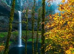 Hike to South Falls, Silver Falls State Park, Oregon