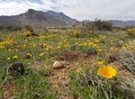Explore Castner Range National Monument, Texas