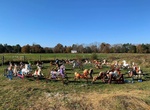 See Ponyhenge (Rocking Horse Graveyard), Lincoln, Massachusetts