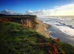 Explore Half Moon Bay State Beach, California