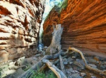 Explore Alligator Gorge, Mount Remarkable National Park, South Australia