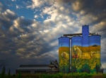 See Merriwa Silo Art, Merriwa, NSW, Australia
