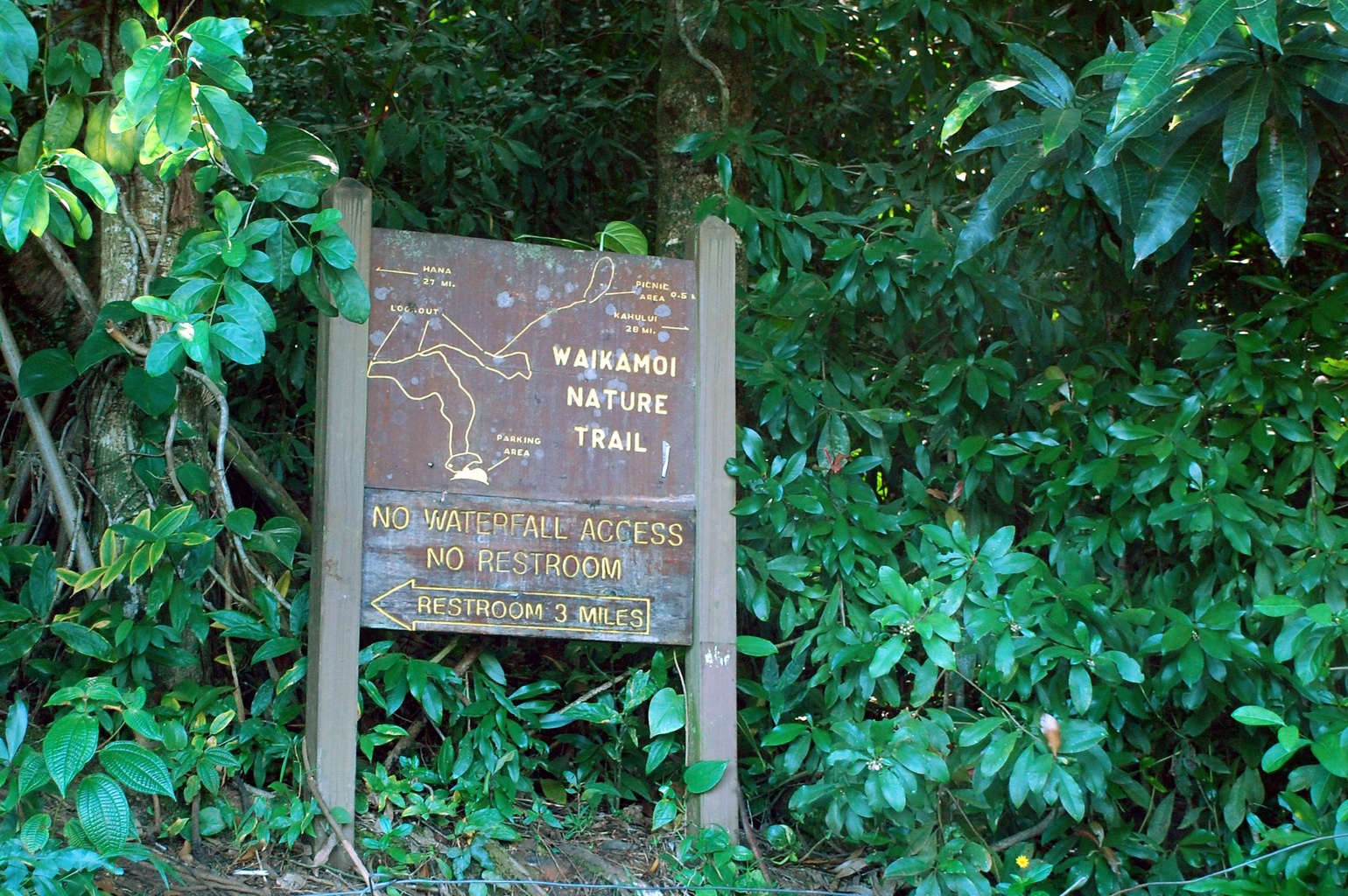 Waikamoi Ridge Nature Trail