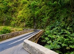 Drive Road to Hana, Maui, Hawaii