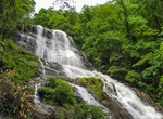 Explore Amicalola Falls State Park, Dawsonville, Georgia