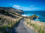Explore The Catlins Coast, New Zealand