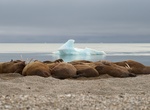 Explore Spitsbergen, Svalbard, Norway