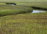 Explore Tijuana River Estuary, San Diego, California