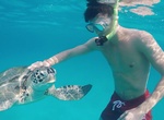 Swim with Turtles, Chagar Hutang Turtle Sanctuary, Redang Malaysia