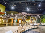 Visit Cleveland Museum of Natural History, Cleveland, Ohio