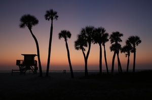 Coquina Beach - 32510072820 C7691175db O.300x199