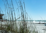 Visit Coquina Beach, Anna Maria Island, Florida
