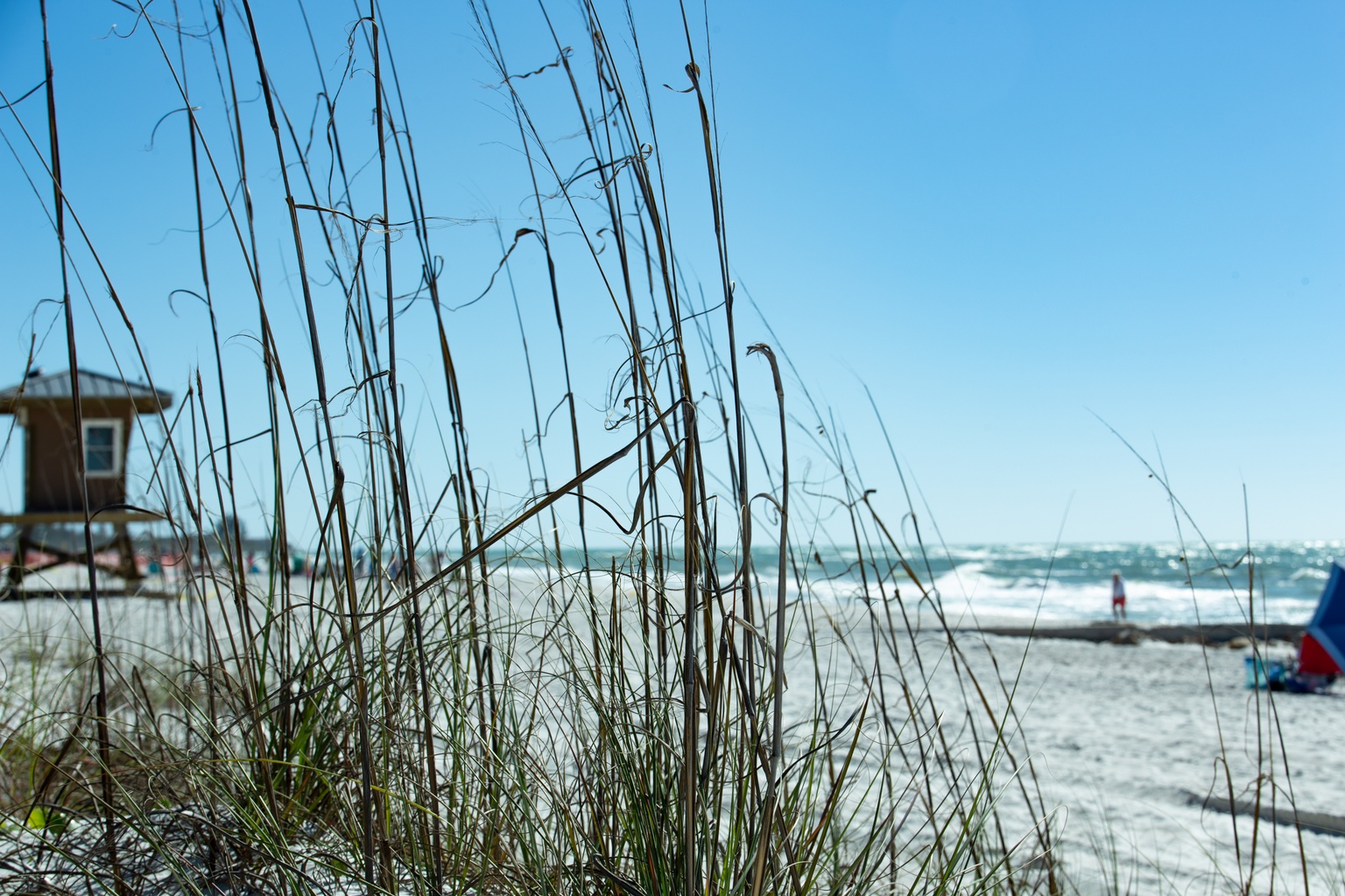 Coquina Beach - 49444520571 3353e82d4c O.2048x1024