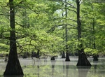 Explore Big Lake National Wildlife Refuge, Mississippi County, Arkansas