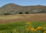 Explore Canelo Hills Cienega Reserve, Sonoita, Arizona