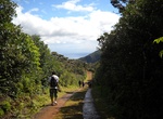 Hike Macchabée & Colophane Trail, Mauritius
