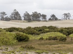 Explore Lanphere Dunes, Humboldt County, California