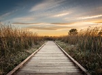 Explore Cosumnes River Preserve, Sacramento