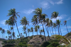 Praia Massarandupió
