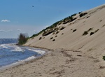 Visit Parnidis Dune, Curonian Spit, Lithuania