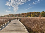 Explore Hastings Lake Forest Preserve, Illinois