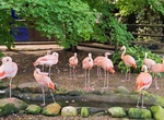 Visit Living Treasures Wild Animal Park, New Castle, Pennsylvania