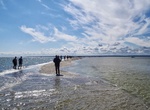 See Rybitwia Mielizna (Rybitwia Sandbar) Shipwrecks, Poland