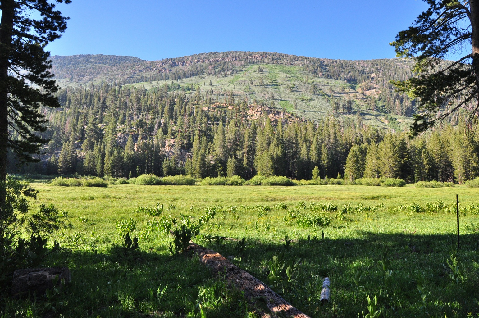 Agnew Meadows Campground
