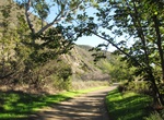 Camp at Sycamore Canyon Campground, Point Mugu State Park, California