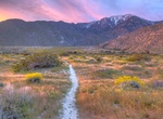 Explore Santa Rosa and San Jacinto Mountains National Monument, California